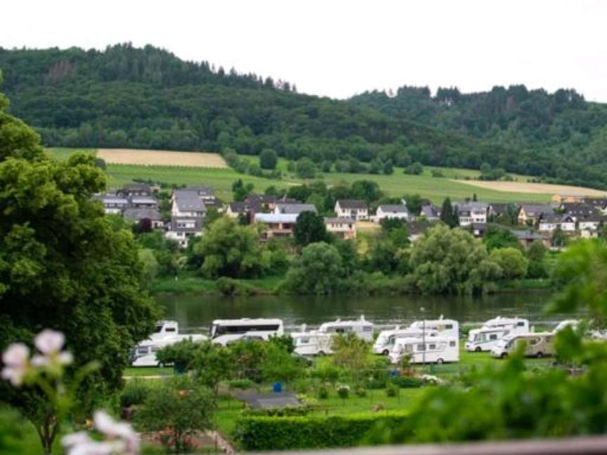 Chateau-De-La-Moselle Kinheim Exterior photo