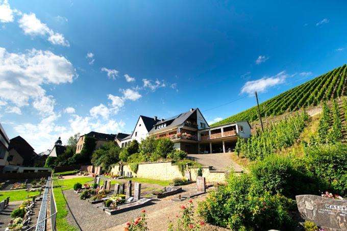 Chateau-De-La-Moselle Kinheim Exterior photo